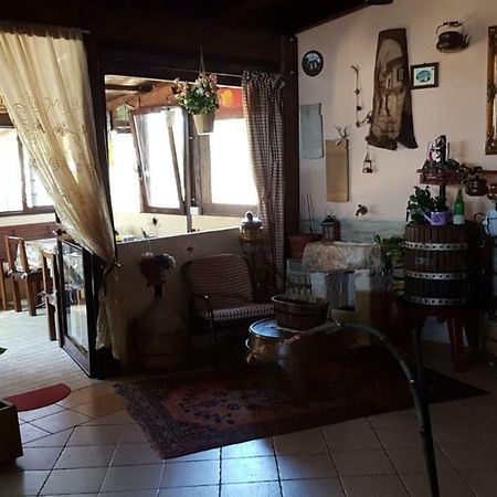 Bed And Breakfast Dolce Sorriso 滨海波利尼亚诺 外观 照片