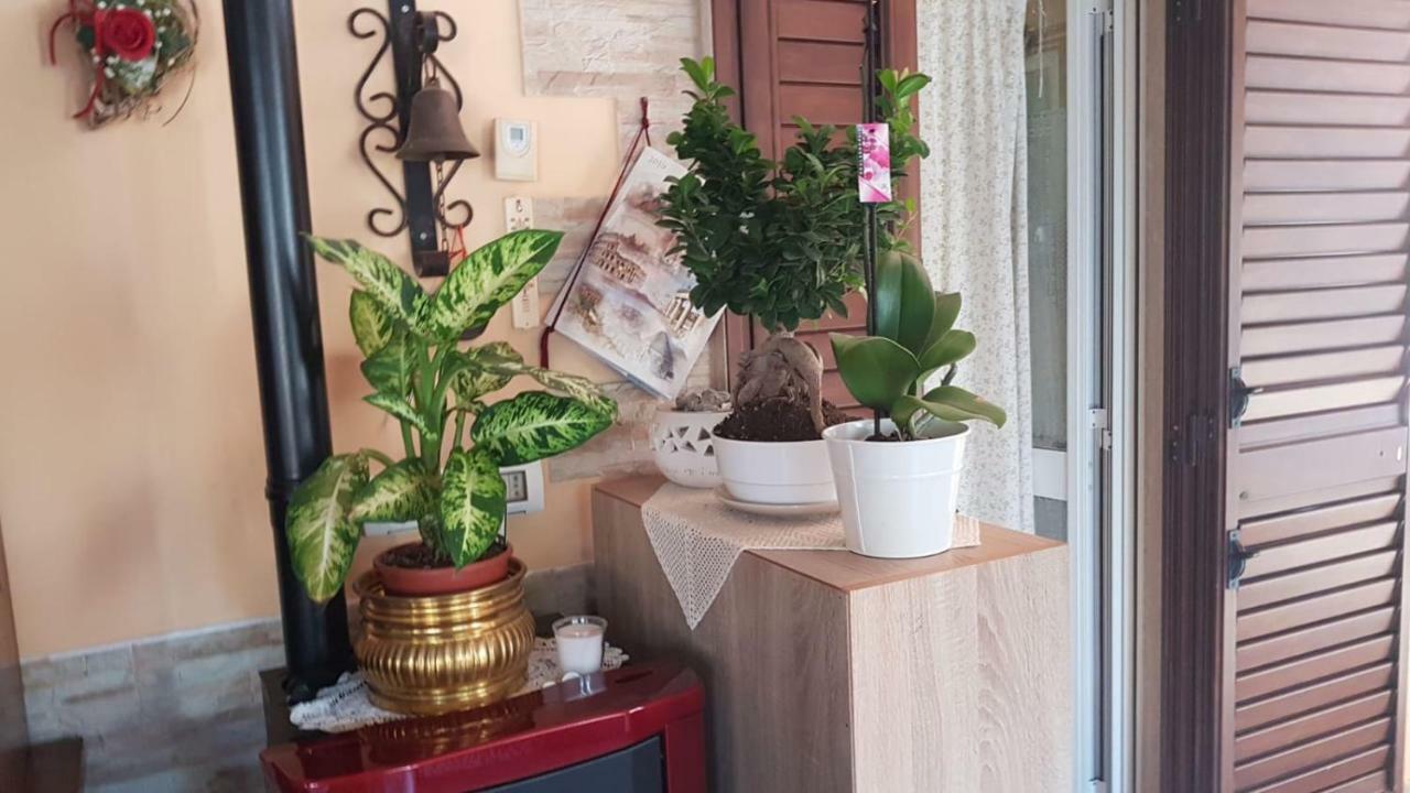Bed And Breakfast Dolce Sorriso 滨海波利尼亚诺 外观 照片